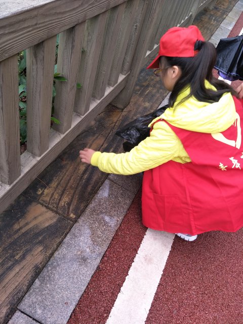 绿道活动.jpg 绿道活动.jpg