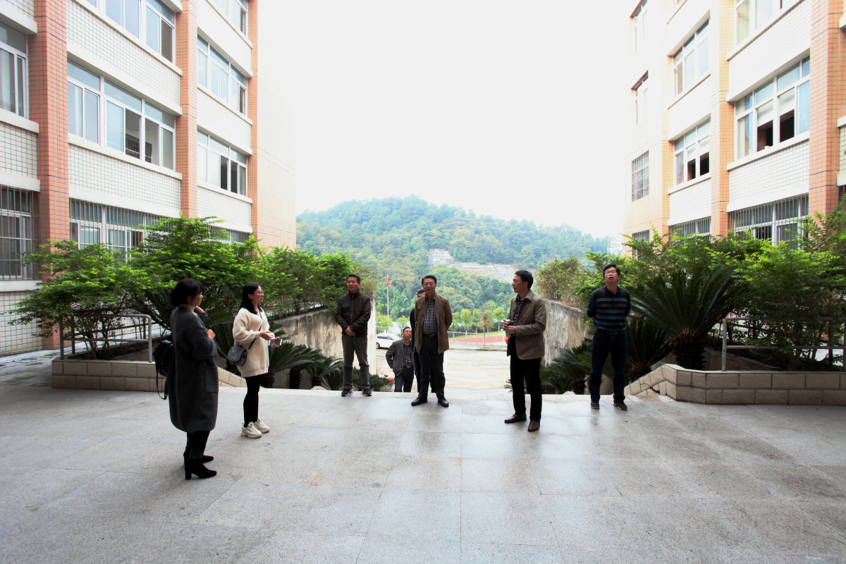 IMG_0393_编辑.jpg IMG_0393_编辑.jpg